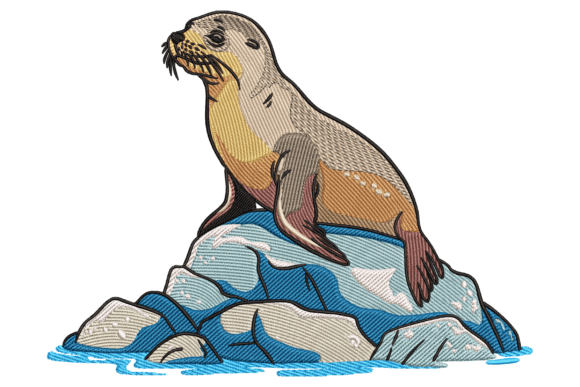 Download Seal on Rocks - Seal Collection