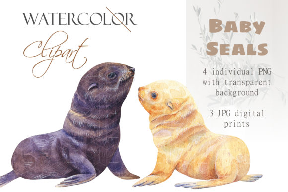 Download Watercolor Baby Seal Clipart White Seal - Seal Collection