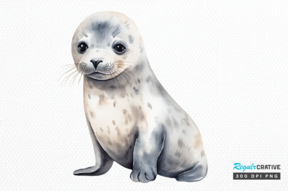 Download Watercolor Baby Seal Clipart Png Design - Seal Collection
